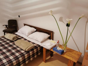4 Friends Hostel